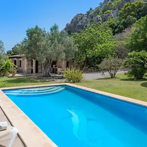 Coster Puig Pollença